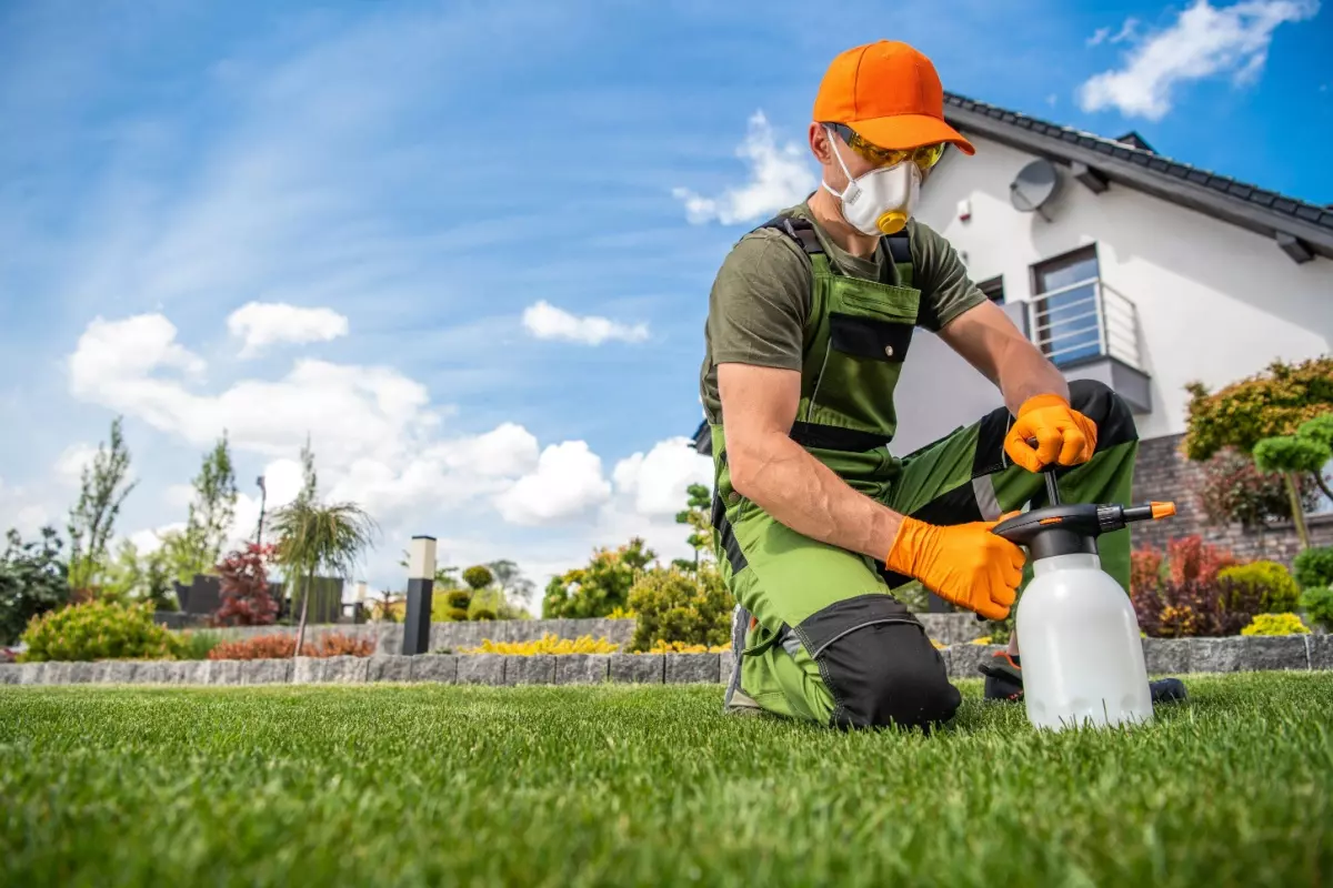 Pest control Job